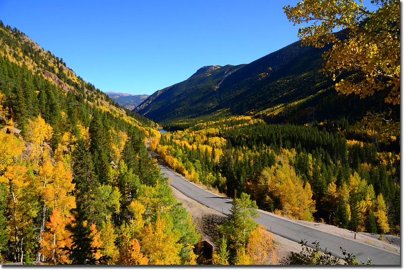 Fall colors, Guanella Pass, Colorado (30)
