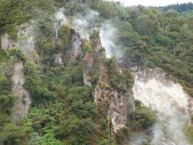 NUEVA ZELANDA. POR LA TIERRA DE LA LARGA NUBE BLANCA - Blogs de Nueva Zelanda - Valle volcánico de Waimangu (9)