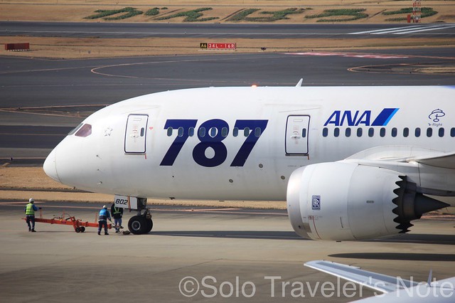 ANA's Special 787 Livery07