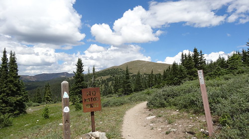 chfstew colorado coloradotrail hiking trail segment6 landscape sign trailsign