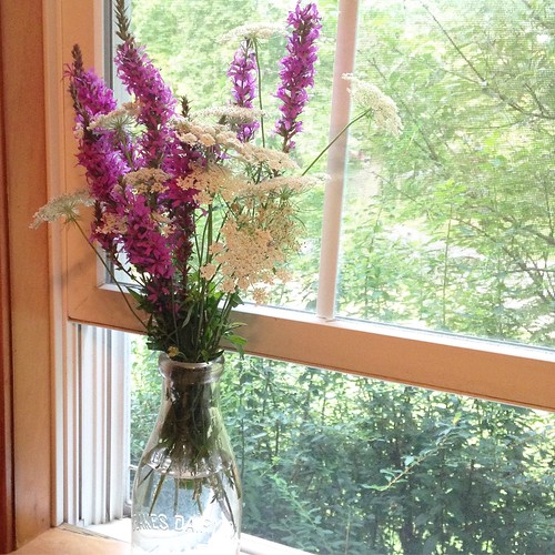 Wildflowers on my windowsill