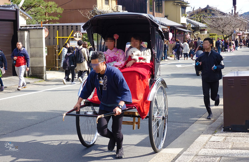 Arashiyama Rickshaw Tour