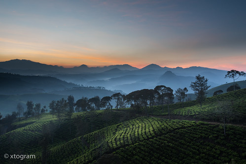 pangalengan jawabarat indonesia id sunrise tea plantation long exposure longexposure longexpo slowshutter