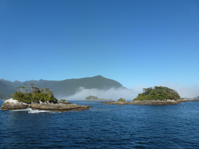Doubtful Sound. Pequeña ruta por Kepler Track. - NUEVA ZELANDA. POR LA TIERRA DE LA LARGA NUBE BLANCA (30)