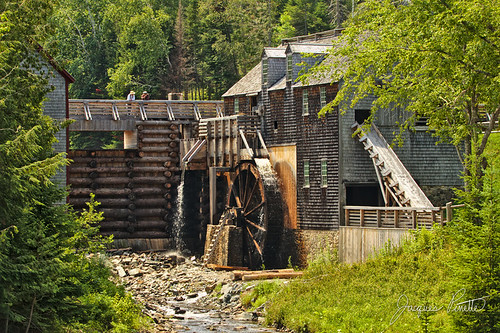 tourism saw mill dam river kings landing newbrunswick canada wood nature water gravity lumber logs wheel museum settlement