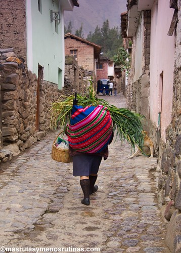 El Valle Sagrado del Urubamba: Ollantaytambo y Pisac - Por las escaleras de PERÚ (7)