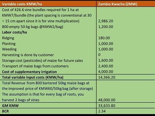 Table summarizing profitability analysis for orange fleshed sweet potato production by the Mumbas. From Africa RISING success story - Farmer finds a sweet spot producing orange-fleshed sweetpotato vines and roots during the dry season in Zambia.