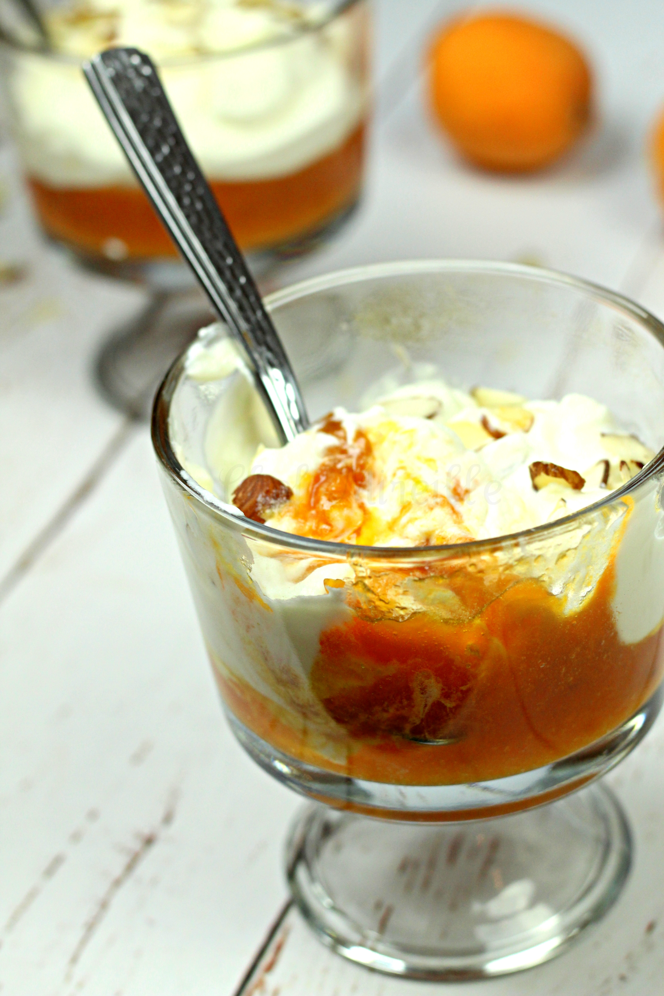 apricot dessert -edit