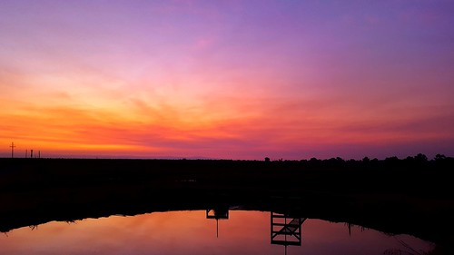 sunset california stevenson water canal purple