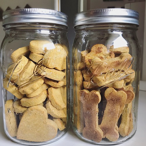 pb, pumpkin, grain-free homemade dog treats #diy #grainfree #dogtreats #homemade