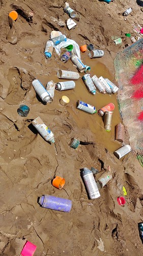 Discarded Spray Paint Cans