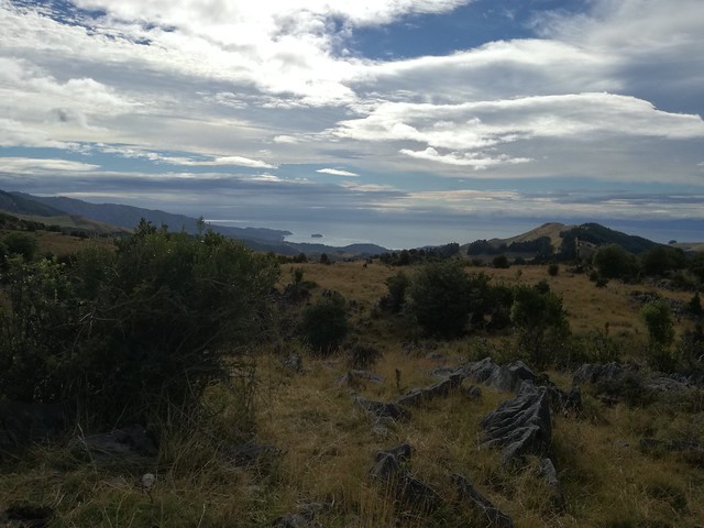 Mal comienzo en Abel Tasman NP. Nos vamos a Nelson Lake NP - NUEVA ZELANDA. POR LA TIERRA DE LA LARGA NUBE BLANCA (1)