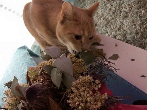 eating the flower arrangement