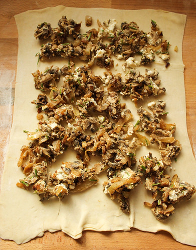 Mushroom Caramelized Onion Tarts