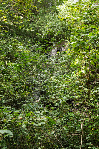 Robinson branch waterfall - 1