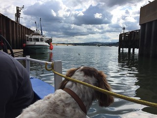 2017-08-09 Starcross to Exmouth Ferry  16.38.10