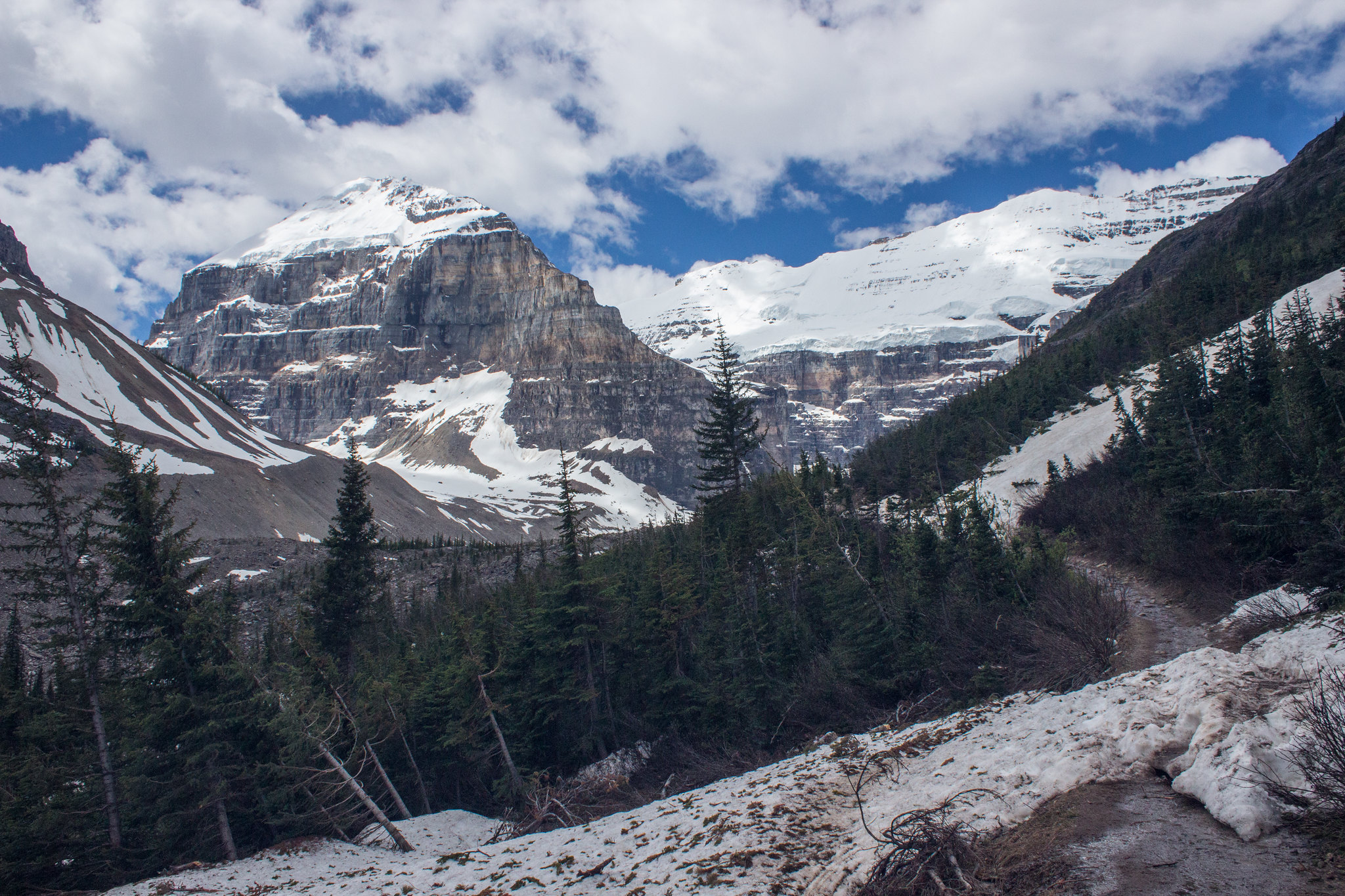 Avalanche remains on the Plain of Six Glaciers trail