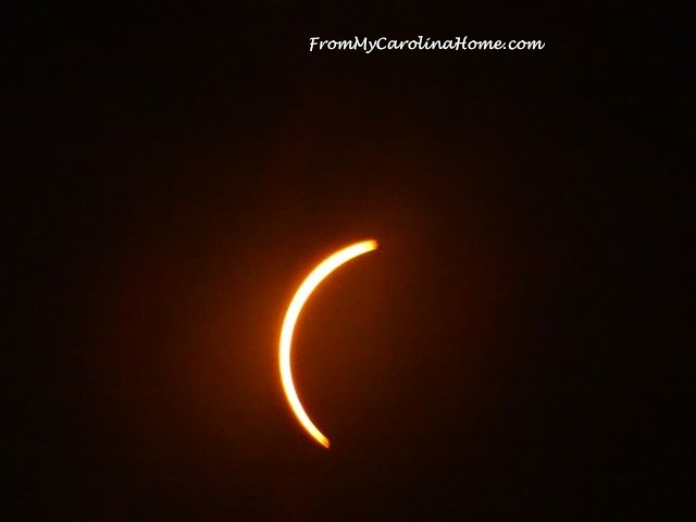 Eclipse 2017 at From My Carolina Home