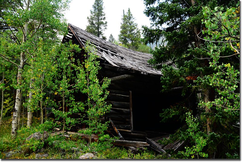 Abandoned Cabin at Hessie townsite 1