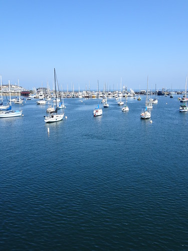 Monterey harbour