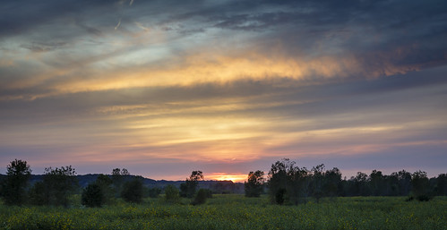 http://www.notleyhawkins.com/, Notley Hawkins Photography, sunset, sky, field, bottoms, bottom land, river bottoms, Missouri River Bottoms, Big Muddy National Fish and Wildlife Refuge, Big Muddy conservation area, 2017, September, wildflowers class=