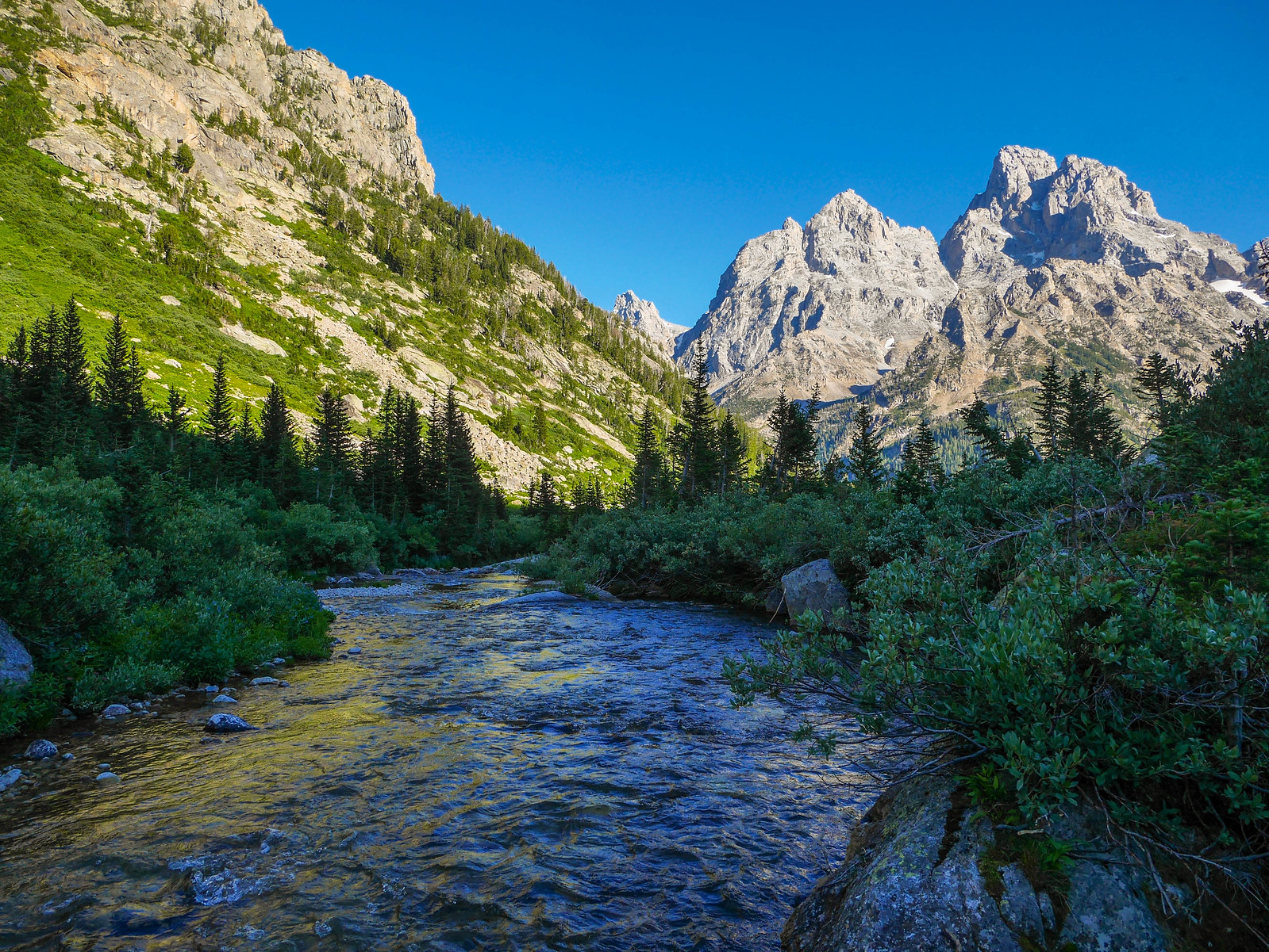 North Fork of Cascade Canyon