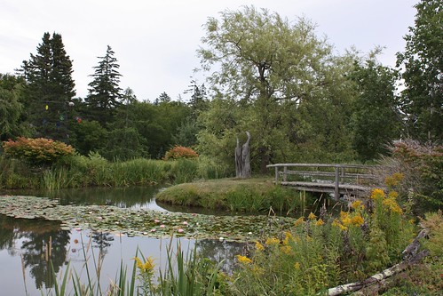 standrews newbrunswick canada lilypad pond kingsbrae garden trees