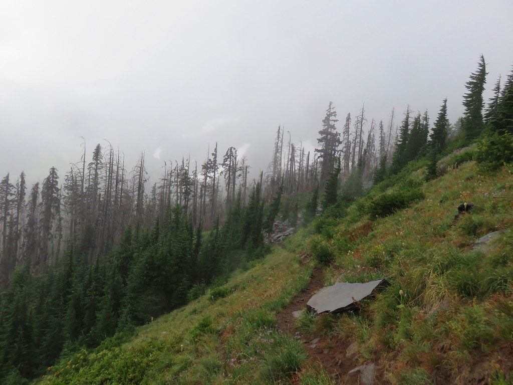 Eden park mt clearance hood