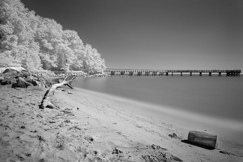 beach bw infrared landscape maryland pasadena unitedstates us canon 6d chesapeake bay blackwhite