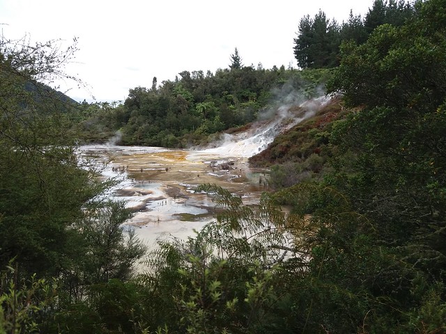 NUEVA ZELANDA. POR LA TIERRA DE LA LARGA NUBE BLANCA - Blogs de Nueva Zelanda - Orakei Korako: "El Valle Oculto" de Nueva Zelanda (15)