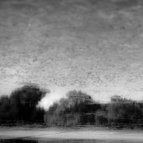 d5000 dof lakewoodforestpreserve nikon abstract blackwhite blackandwhite blur bw depthoffield forest landscape minimal minimalism monochrome natural noahbw pond reflection sky square trees water woods