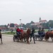 Kasaške dirke v Komendi 24.09.2017 Kmečke vprege