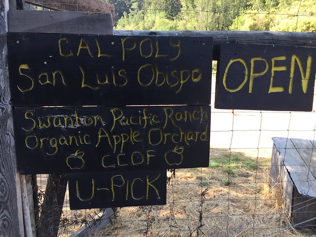 Swanton Pacific Ranch Organic Apple Orchard
