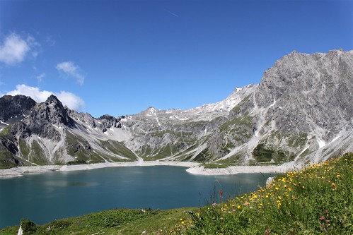 view of Lünersee with alps and flowers