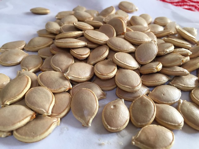Kabocha seeds