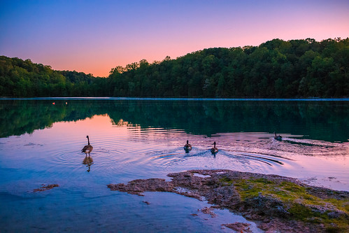 greenlakes greenlakesstatepark newyork centralnewyork upstate lake water sunset bluehour trees goose geese birds canon6d canon 6d deadmanspoint reef marlreef