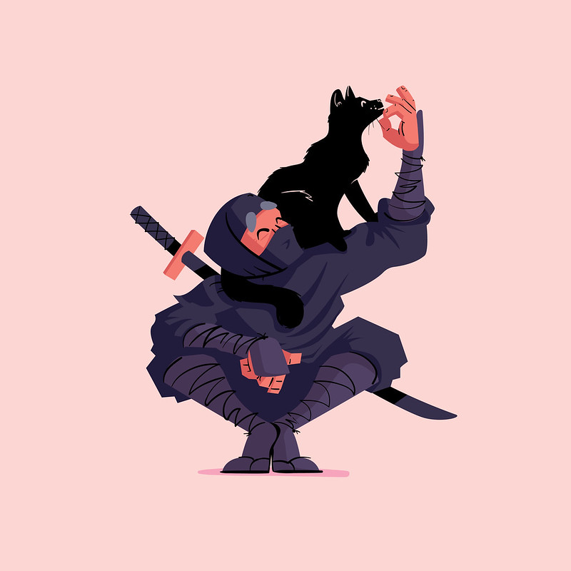 Ninja Kitty