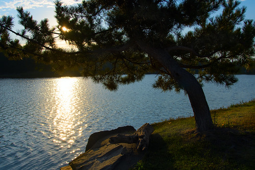 worcester massachusetts indian lake pond water sunrise tree silhouette blue sky d500 chancyrendezvous