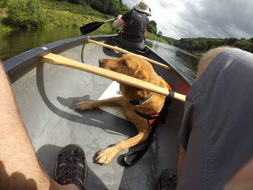 Molly canoeing 1-1