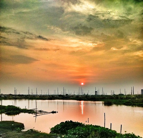 beautifulbangladesh saccharumspontaneum sunset beautyofnature