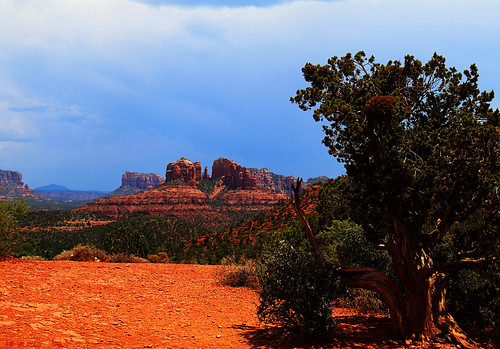 art beauty bright colorful colourful colors colours contrast dark design edge light natural outdoor outside perspective pretty scene serene tranquil shadow sky study sunlight sunshine texture tone weathered world sedona arizona cathedral rock landscape mountain formation tree cloud