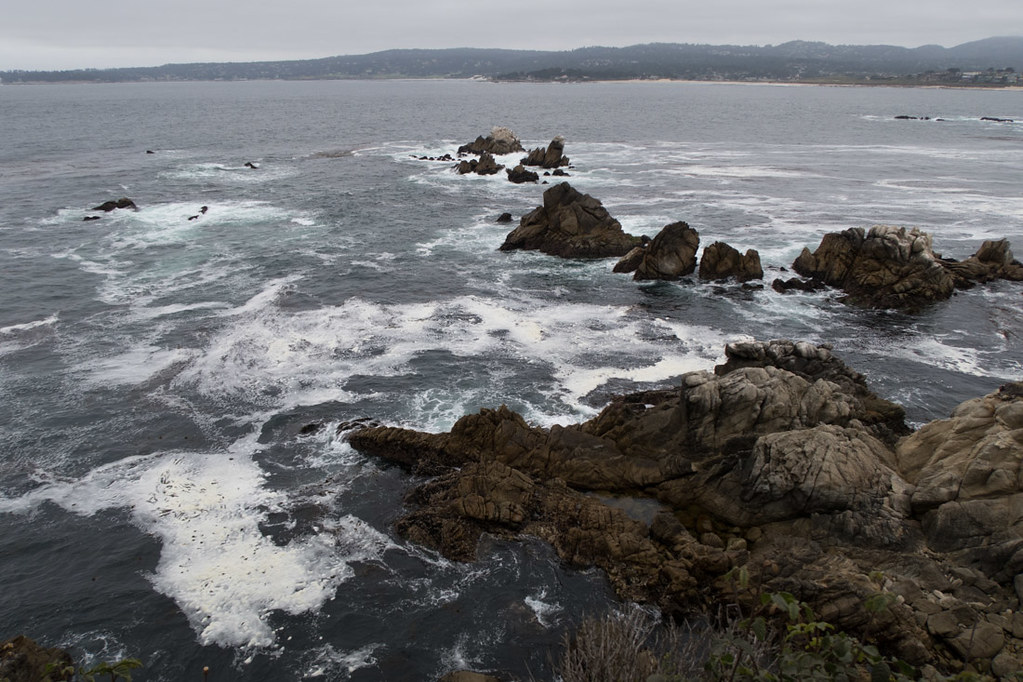 View of rocky coastline from Whalers Cove | Point Lobos State Reserve