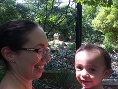Ezra's First Zoo Trip