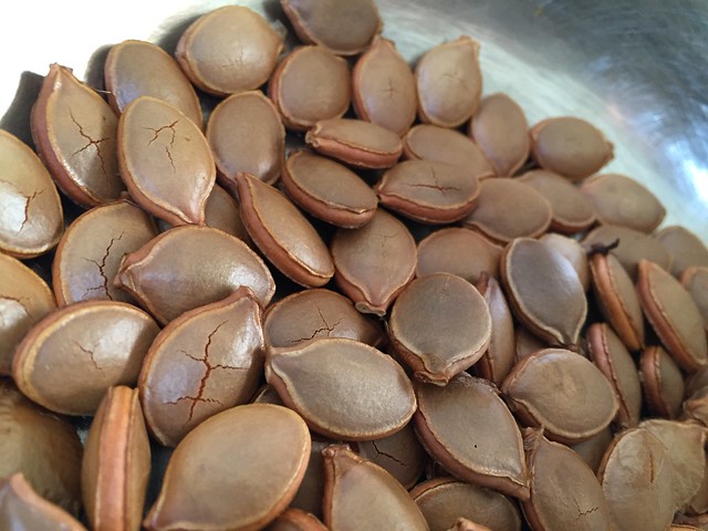 Roasted Kabocha seeds