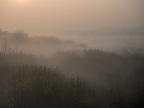 poland landscape nature olympus mist morning gdansk pomerania beautiful