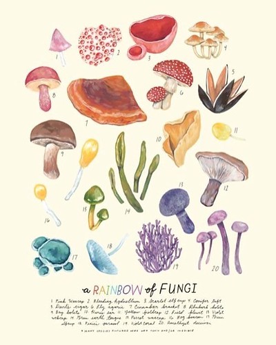 Three of my favorite things: rainbow, watercolors, and mushrooms. By @kelzuki