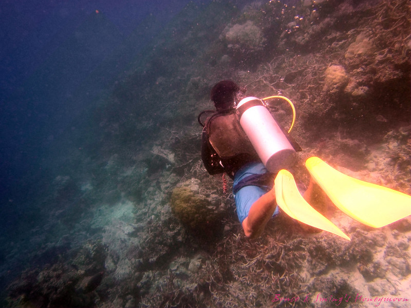 scuba diving1612