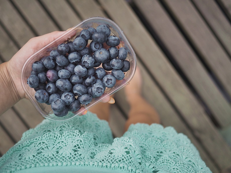 blueberries-pensasmustikat
