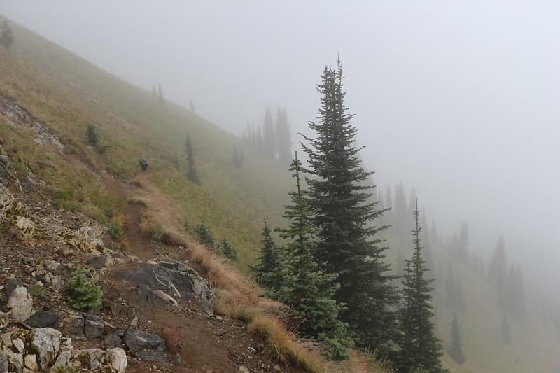 Hiking in a misty cloud on the Miners Ridge Trail