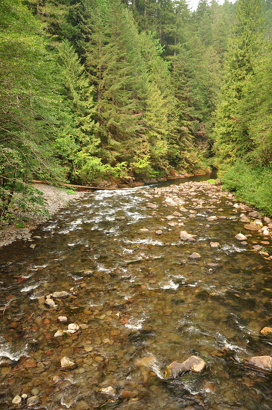 Salmon River Trail